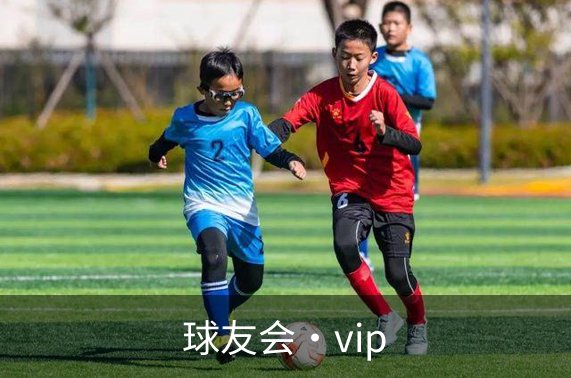球友会·vip品牌故事